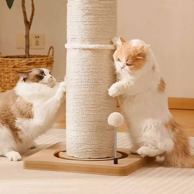 Vertical Cylindrical Cat Climbing Frame
