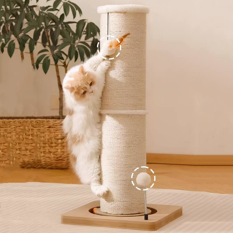 Vertical Cylindrical Cat Climbing Frame