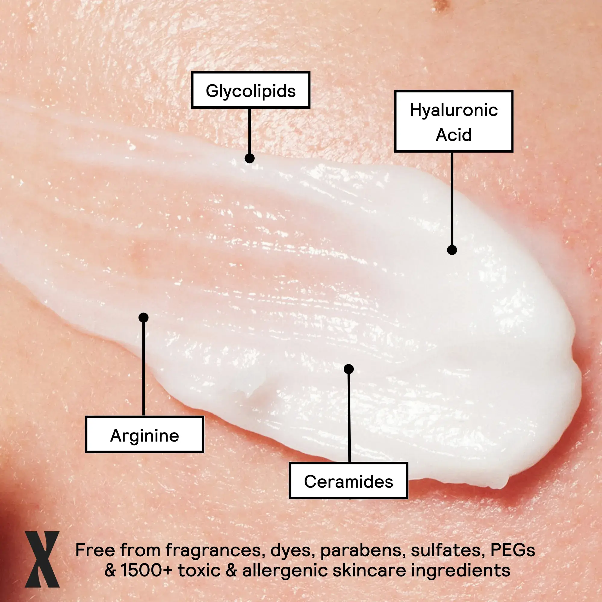 Moisture Boost Hydrating Cream | Untoxicated