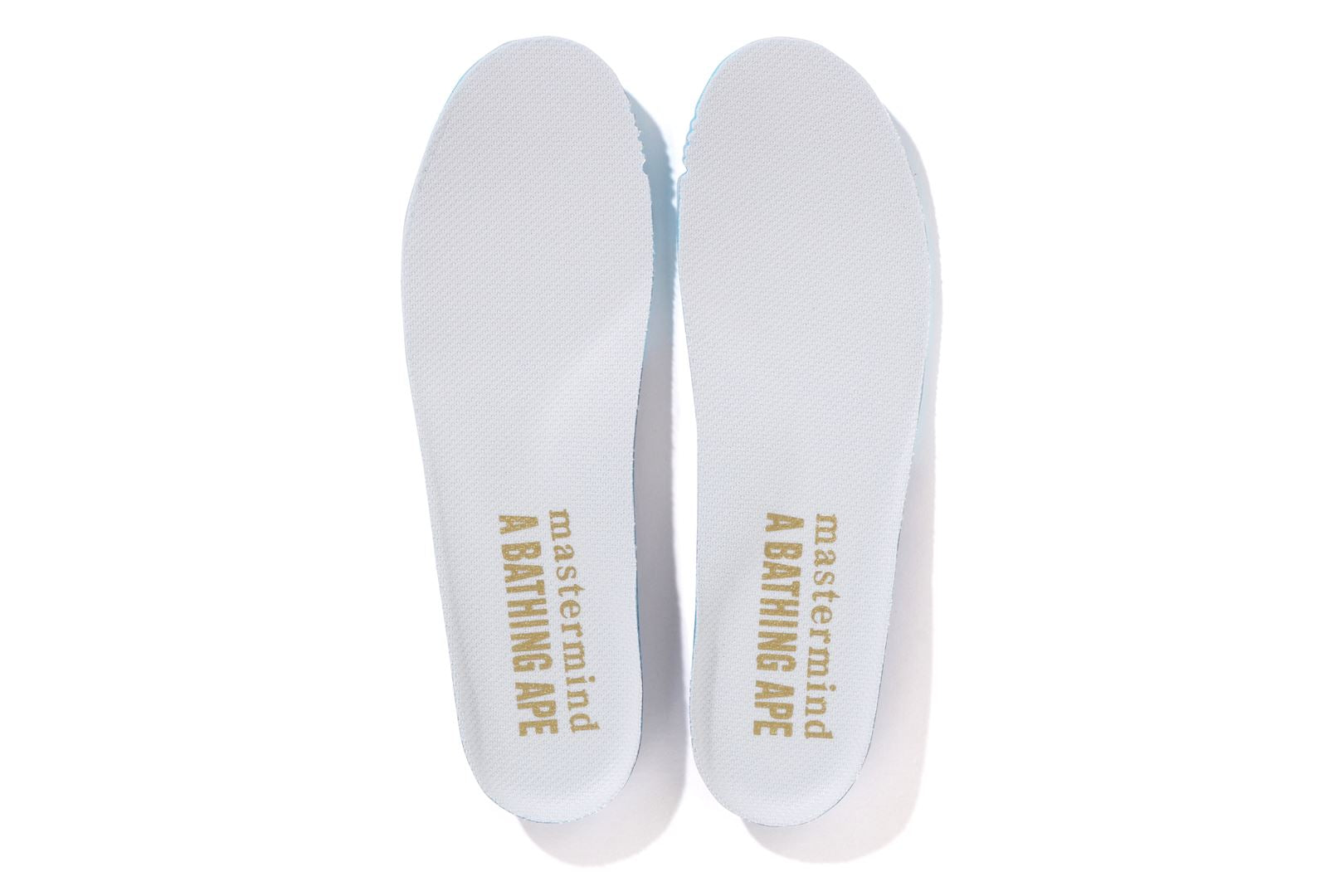 CO-BRANDING SHARK STA 14TH