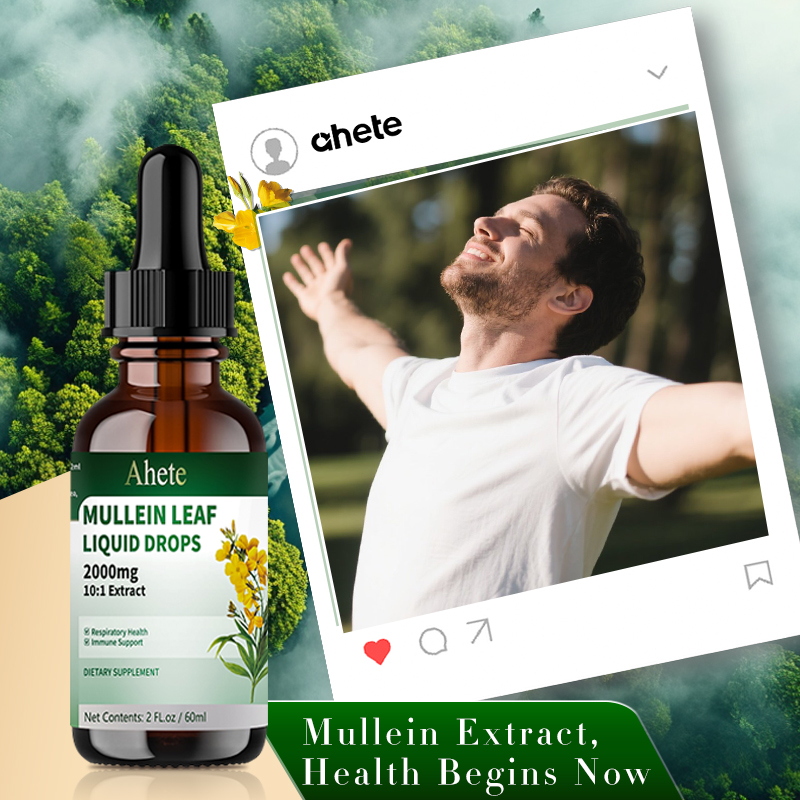 Ahete Mullein Leaf Extract Drops for Lungs - Fast Absorption Liquid Herbal Supplement, Natural Respiratory Support with 99.9% Bioavailability, Hypoallergenic Mint-Infused Formula, 6fl.oz