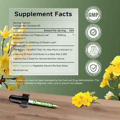 Ahete Mullein Leaf Extract Drops for Lungs - Fast Absorption Liquid Herbal Supplement, Natural Respiratory Support with 99.9% Bioavailability, Hypoallergenic Mint-Infused Formula, 6fl.oz