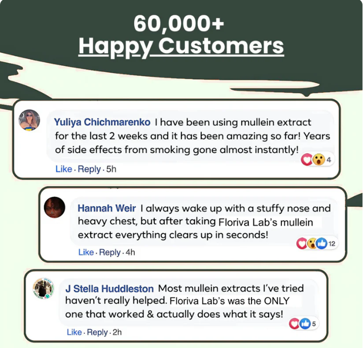 Ahete Mullein Leaf Extract Drops for Lungs - Fast Absorption Liquid Herbal Supplement, Natural Respiratory Support with 99.9% Bioavailability, Hypoallergenic Mint-Infused Formula, 6fl.oz