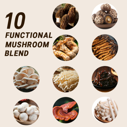 AHETE MUSHROOMS GUMMIES