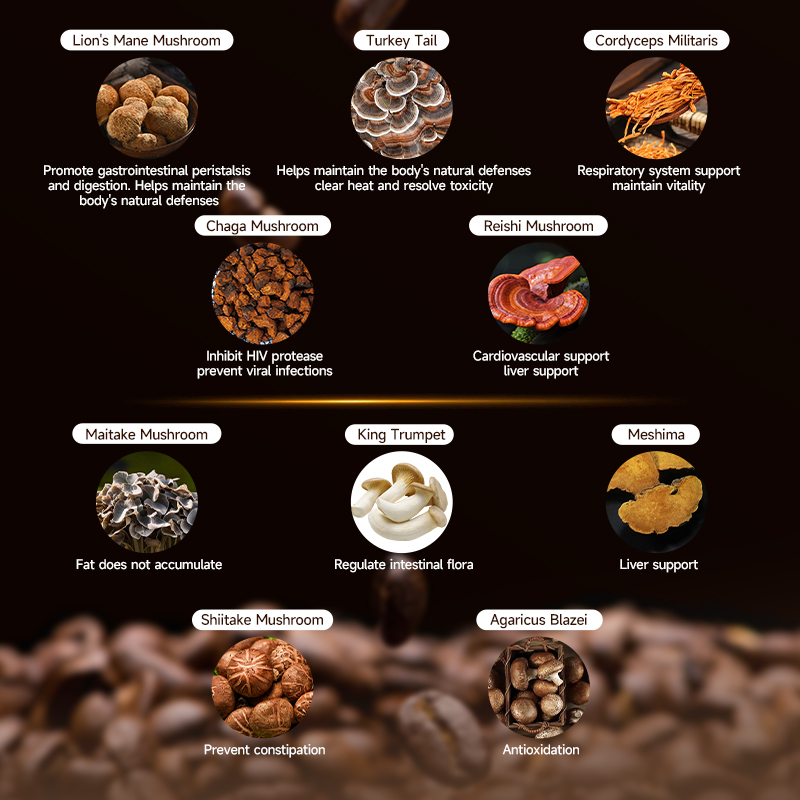 MUSHROOM COFFEE--MULTI-NUTRIENT MUSHROOM COFFEE