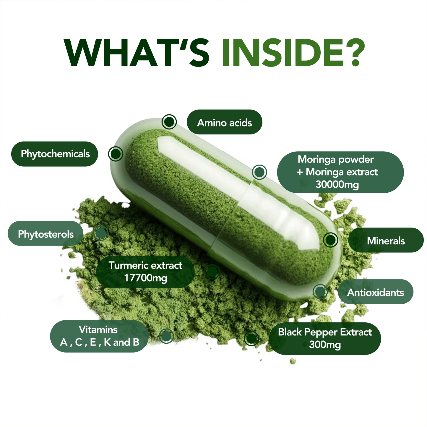 Moringa Powder Capsules