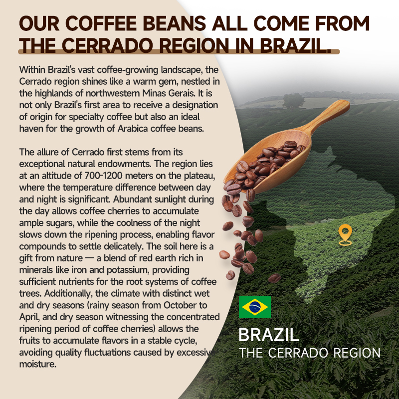 MACA COFFE+MUSHROOM COFFEE - Infuse coffee with vitality