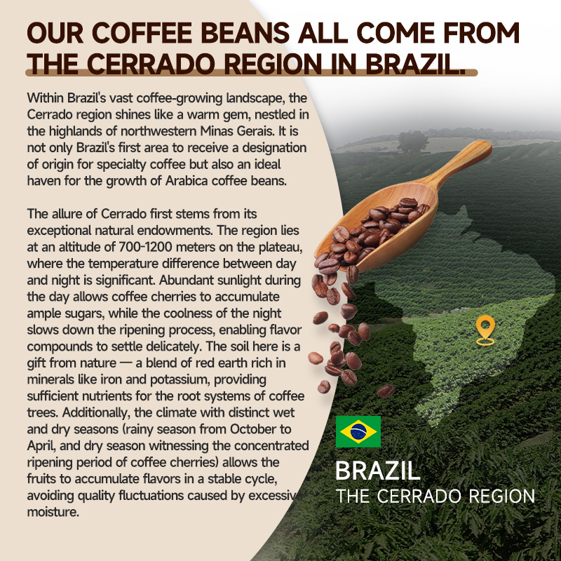 MACA COFFE+MUSHROOM COFFEE - Infuse coffee with vitality