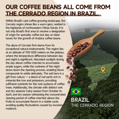 MACA COFFE+MUSHROOM COFFEE - Infuse coffee with vitality