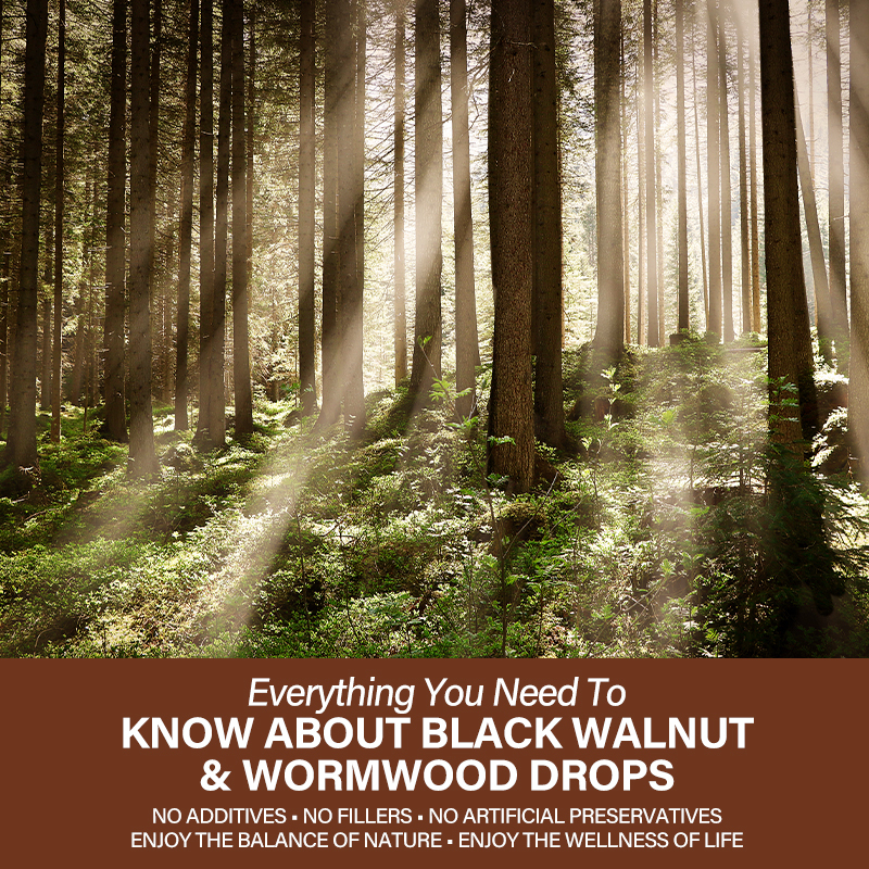 AHETE BLACK WALNUT WORMWOOD