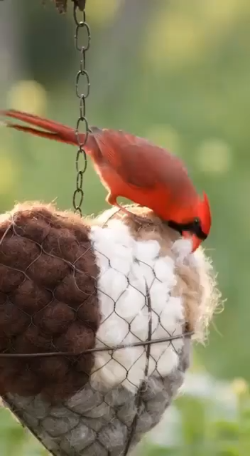 🕊️ Handmade Alpaca Fiber Bird Nesting Heart