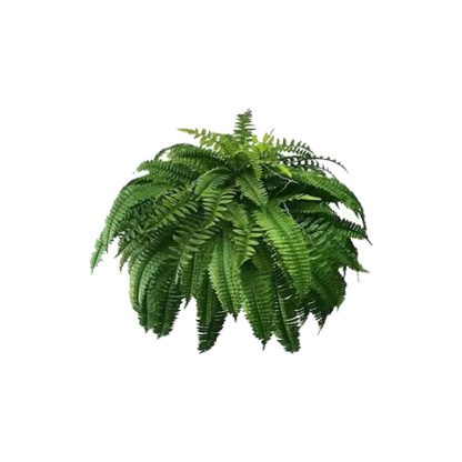 Last Day 70% OFF-UV Resistant Lifelike Artificial Boston Fern