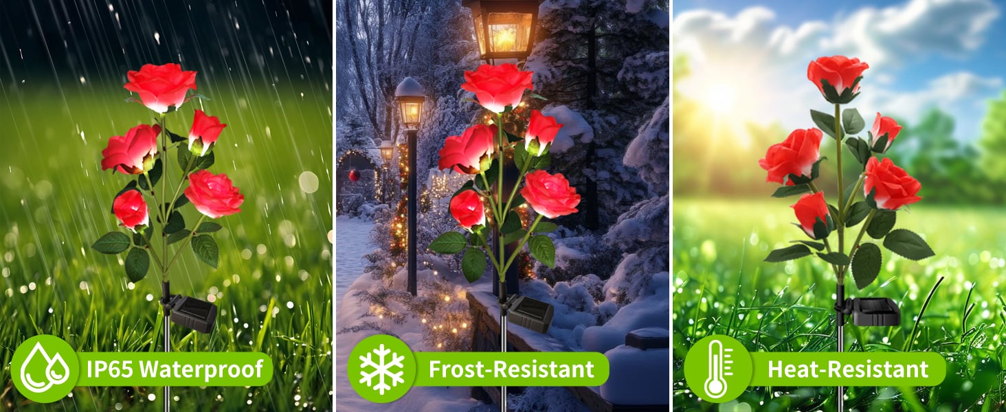 Solar Flower