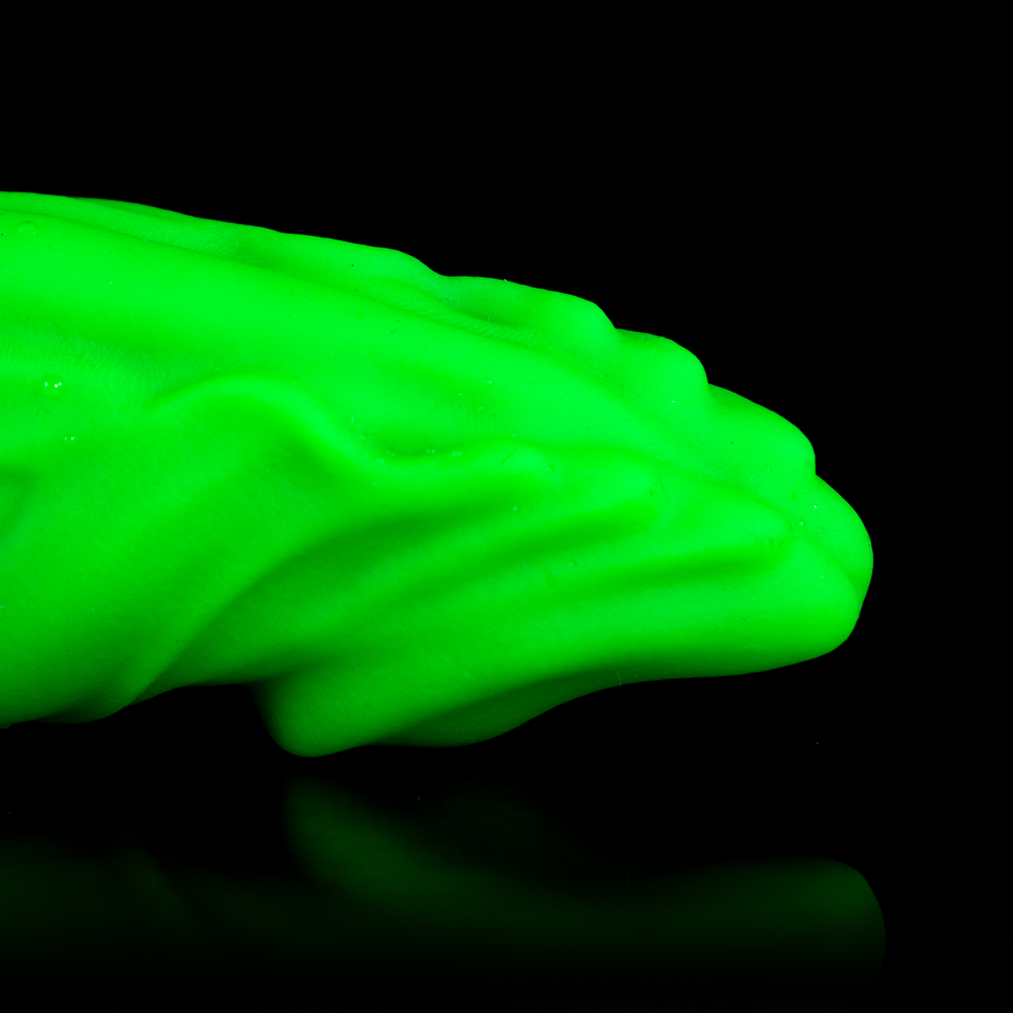 Glow Tyrant - Segmented Extra-Long Bioluminescent Alien Dildo | Korym