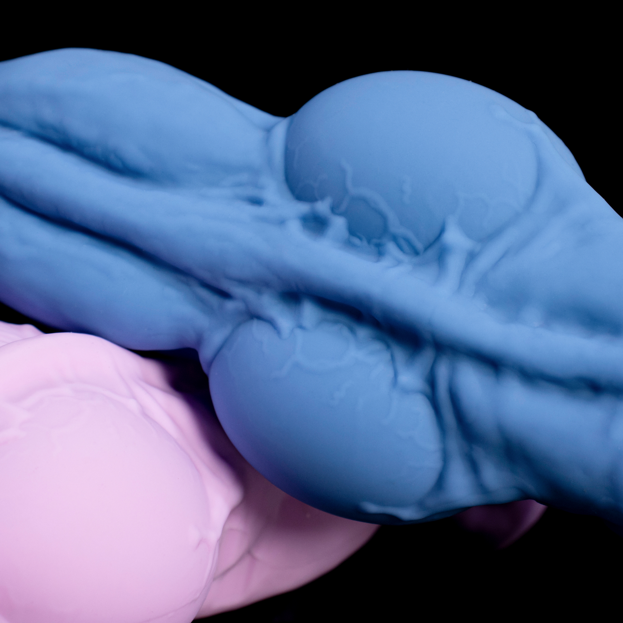 Swell Lock — Inflatable canine knot with on-demand dynamic expansion.