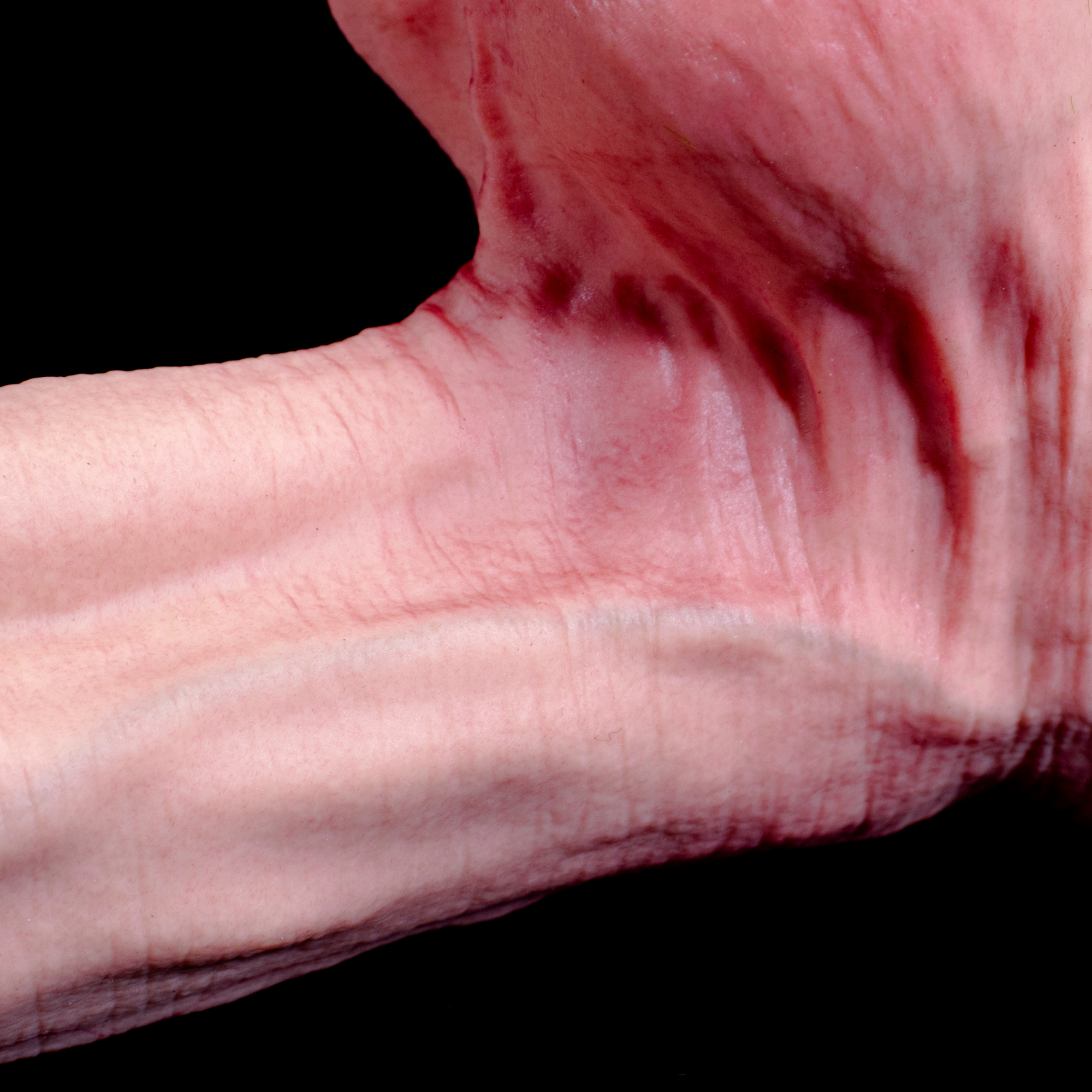 QSD1-002F Scion of the Chizera | 1:1 Hyper-Realistic Liquid Silicone | 36cm Carbon-Based Replica Dildo | Depth Play