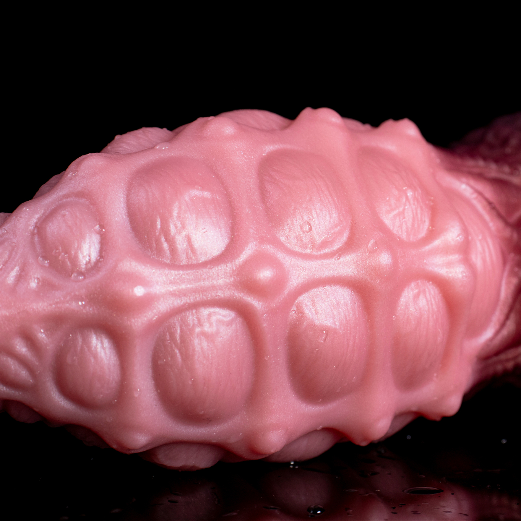 Sky-Drift Seahorse | Stubby Anal Plug with Air-Sac Texture | Biomimetic Grip Base | Platinum Silicone