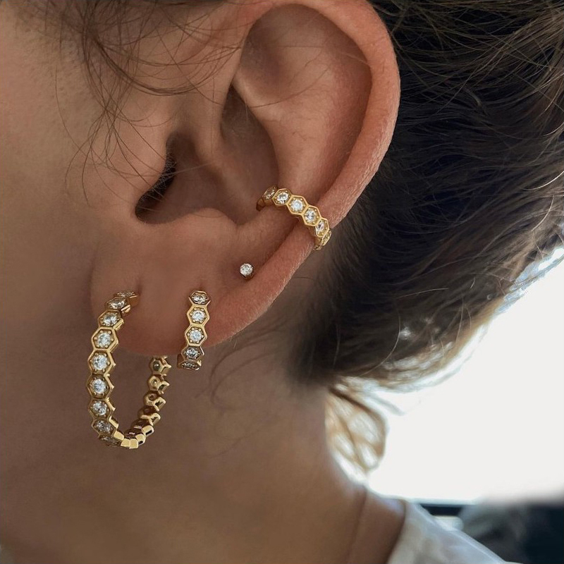 Claw Hook Earrings for Women Exquisite Rhinestone Decor Ear Cuff Earring for Woman Fashion Jewelry