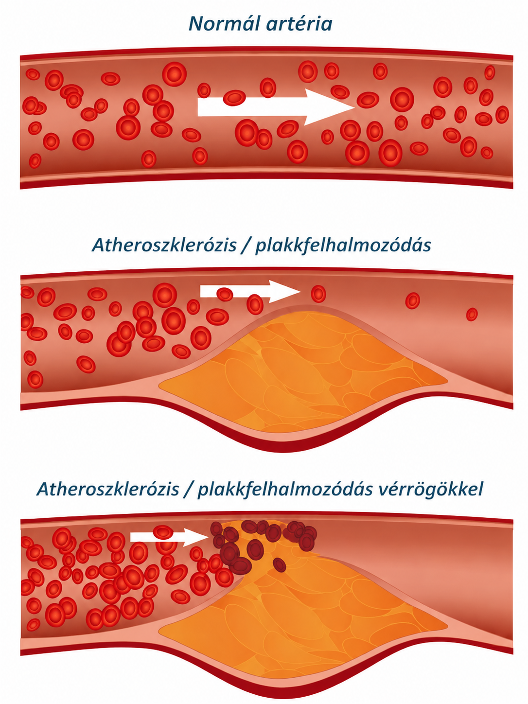 Product details image