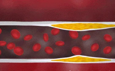 Product details image