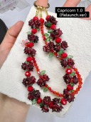 Capricorn 1.0(Relaunched)