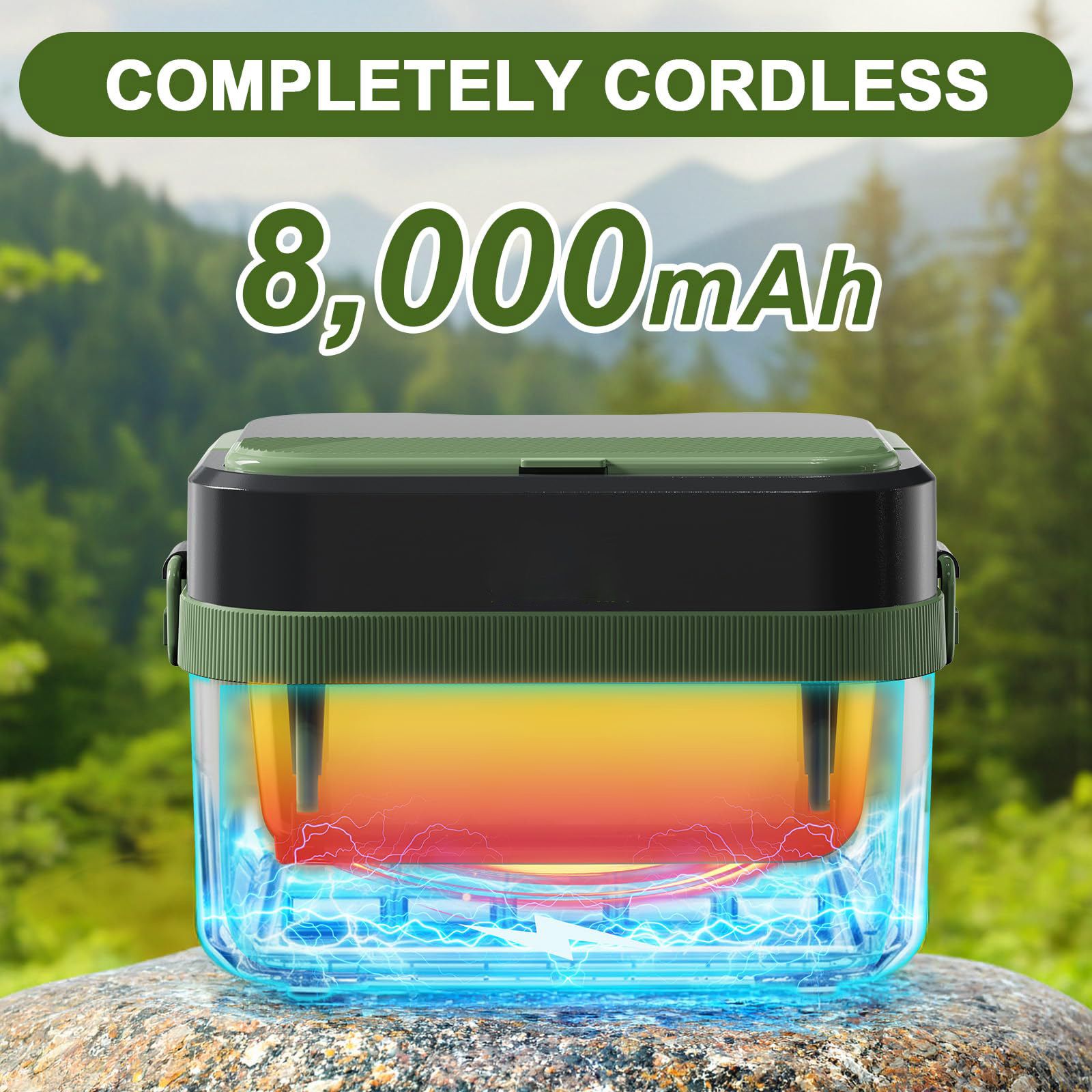 Cordless Electric Lunch Box,60W Fast Heating Portable Food Warmer with Scheduled Heating,Removable Divider,Large Capacity Heated Lunch Box