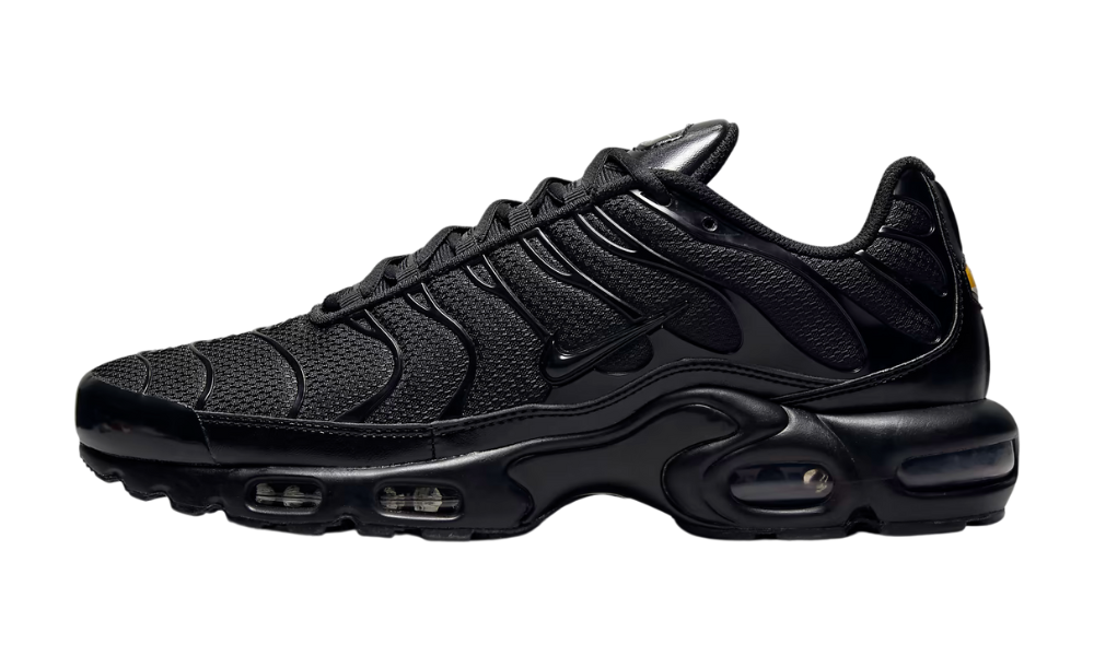 Nithtke AIR MAX PLUS Triple Black