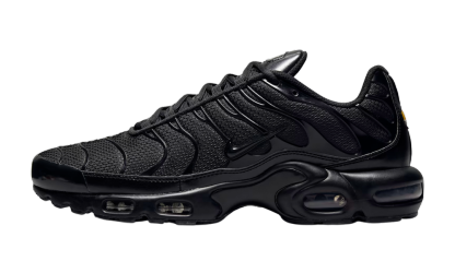 Nithtke AIR MAX PLUS Triple Black