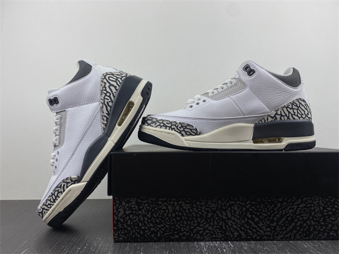 Jordan 3 Retro Hide N' Sneak DX6665-100