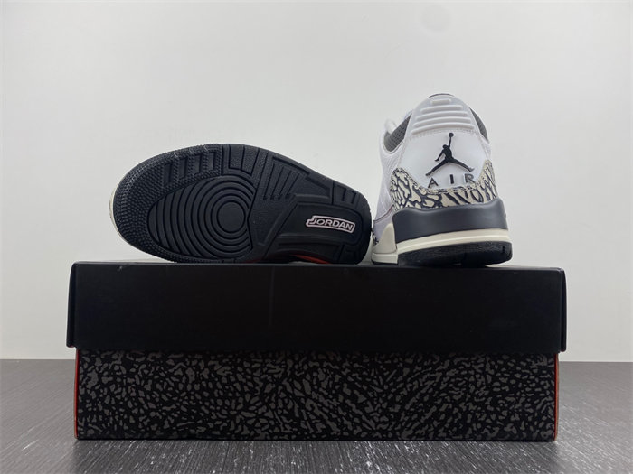 Jordan 3 Retro Hide N' Sneak DX6665-100