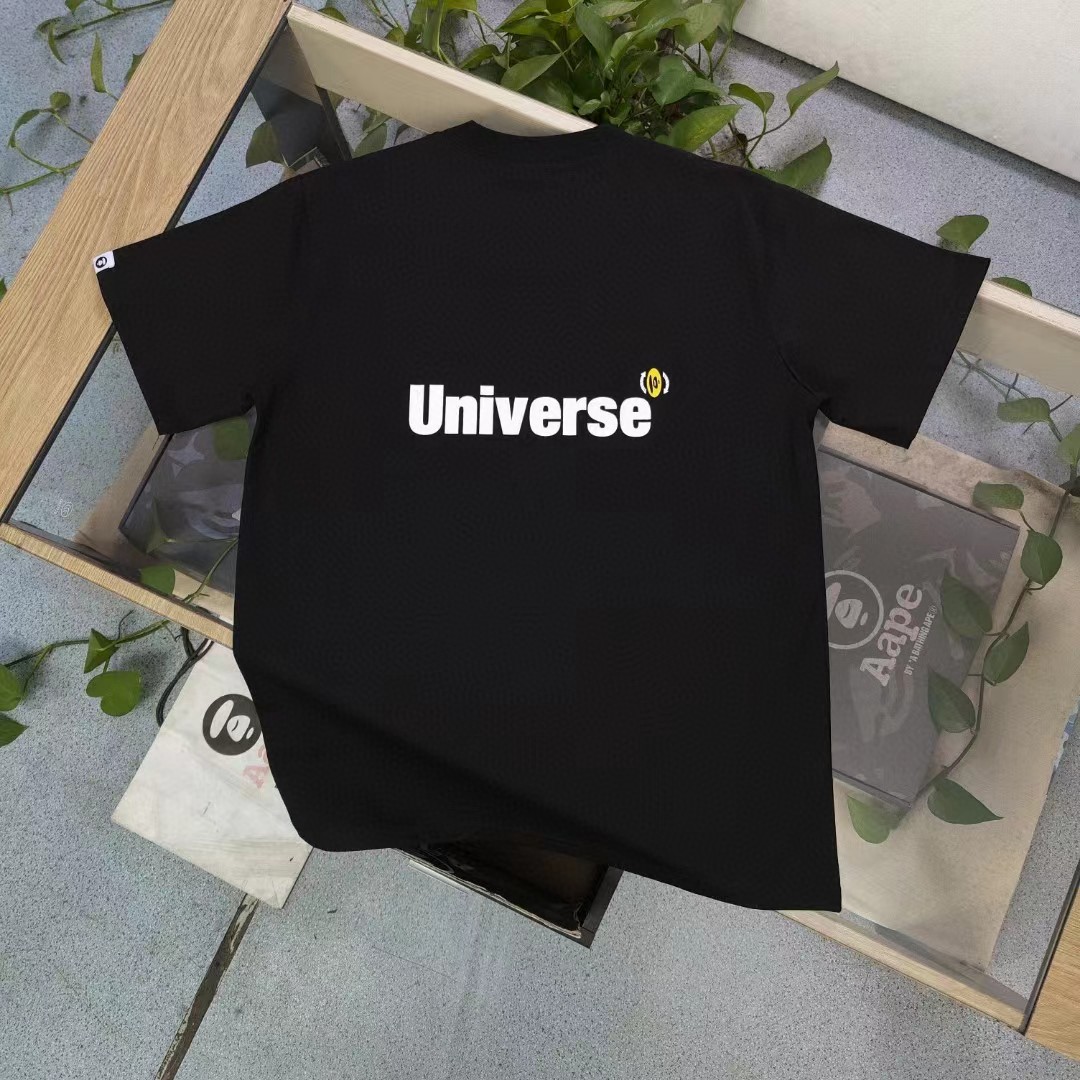 aape Tshirt 024