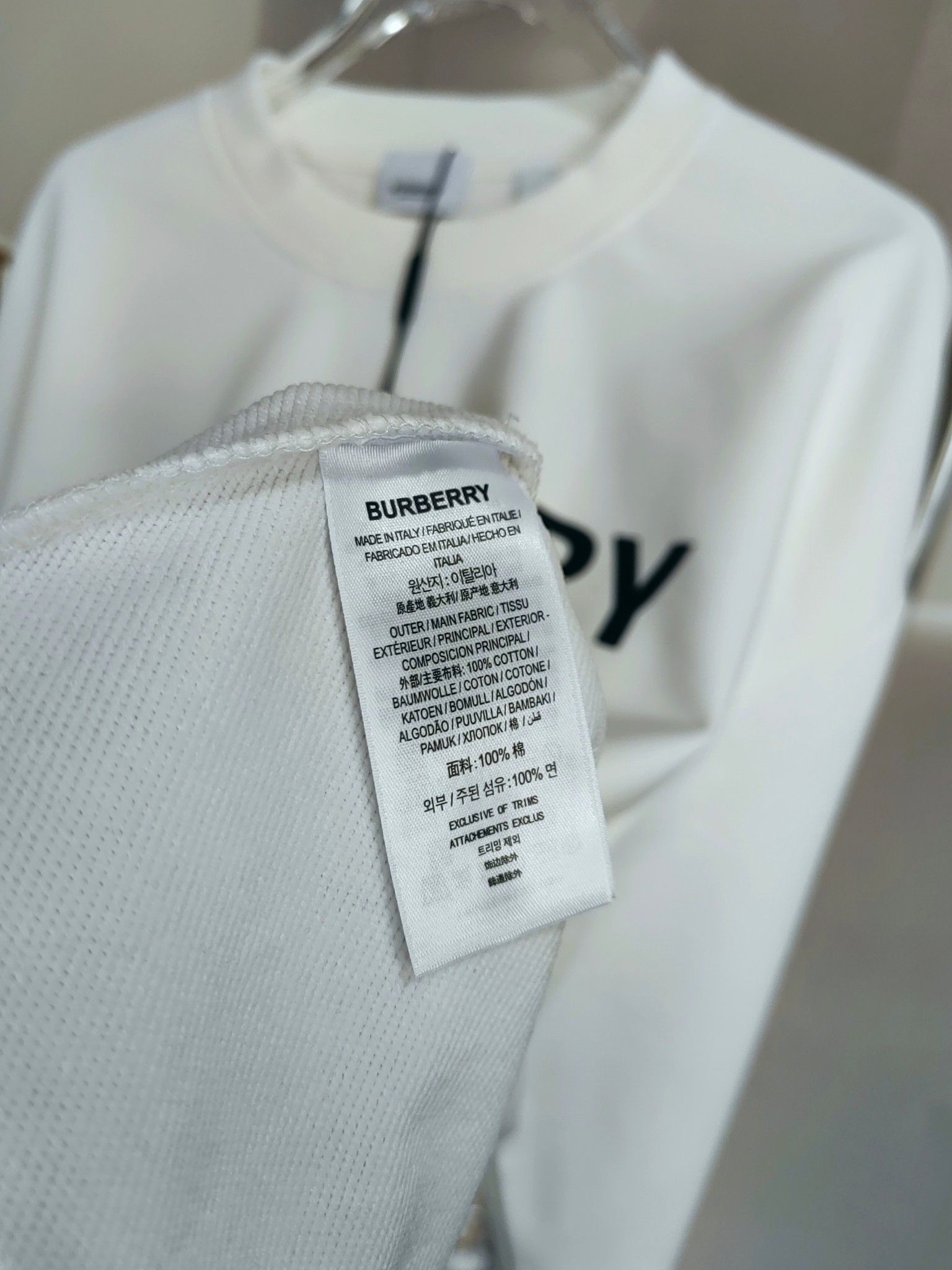 BB Classic LOGO printed crew neck sweatshirt