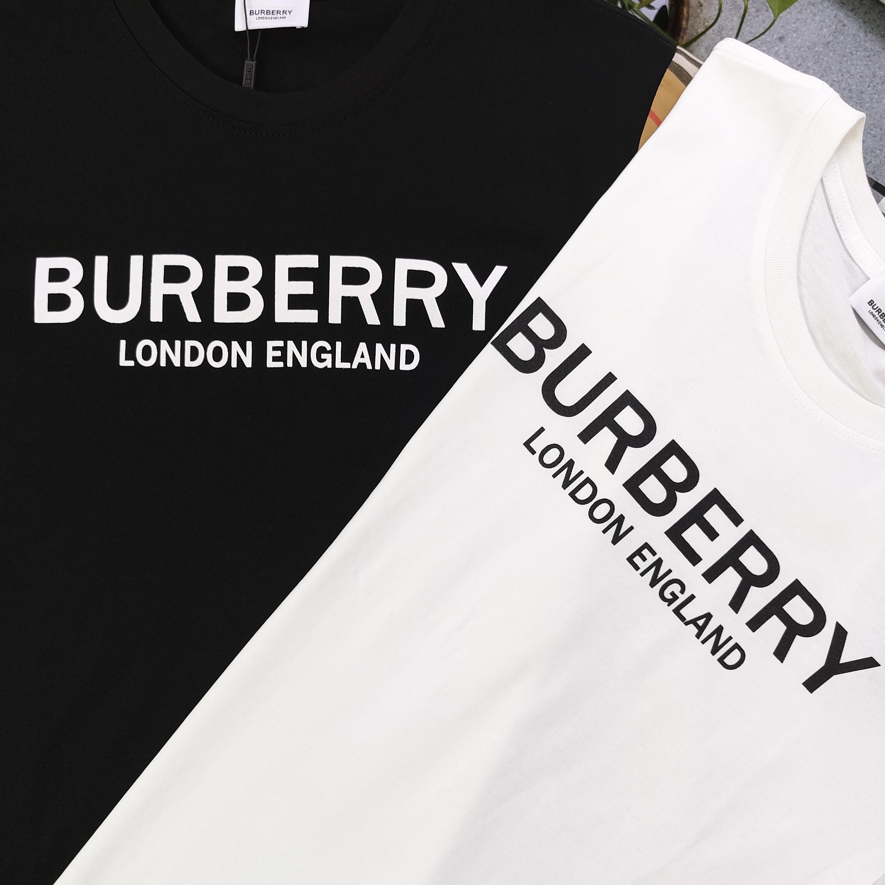 BB new arrival t-shirt 0066