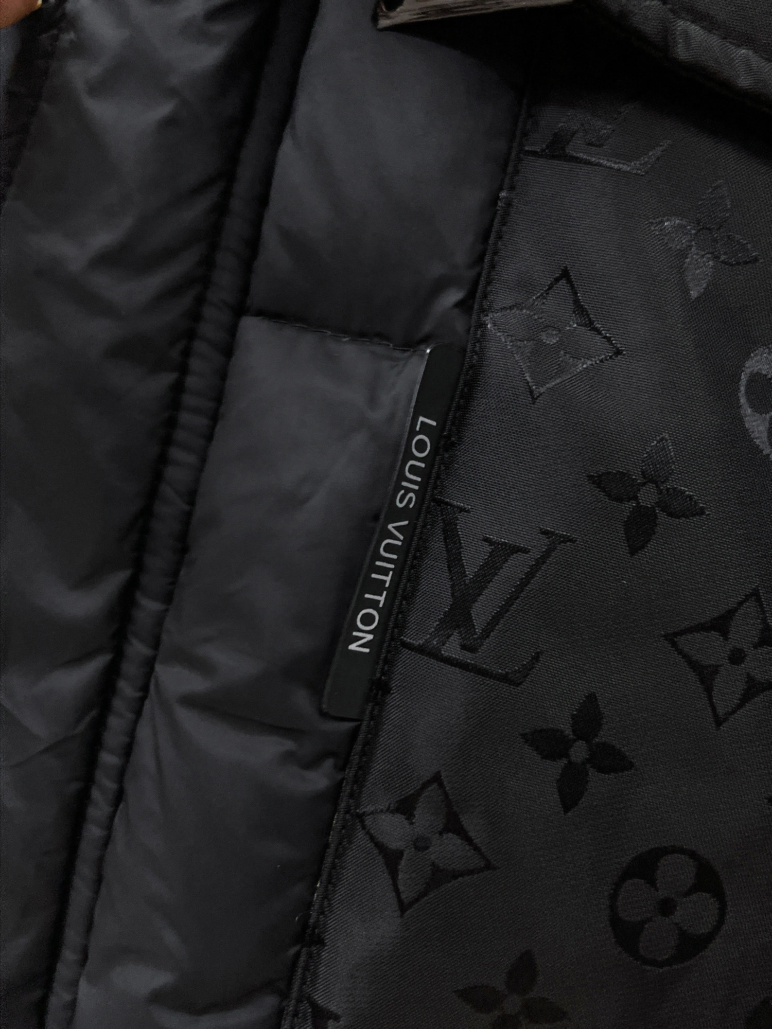 louis new arrival winter coat 0047