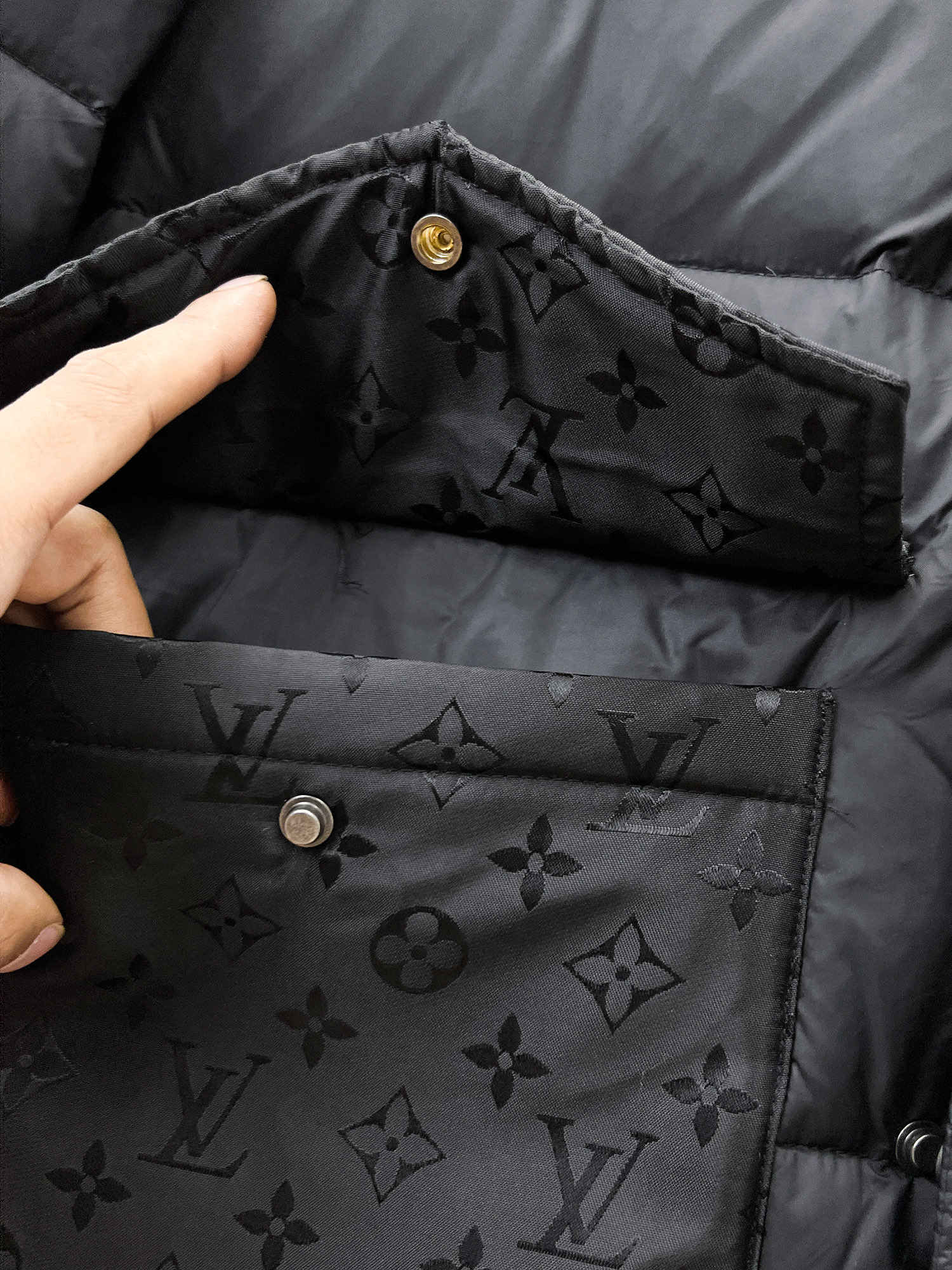 louis new arrival winter coat 0047