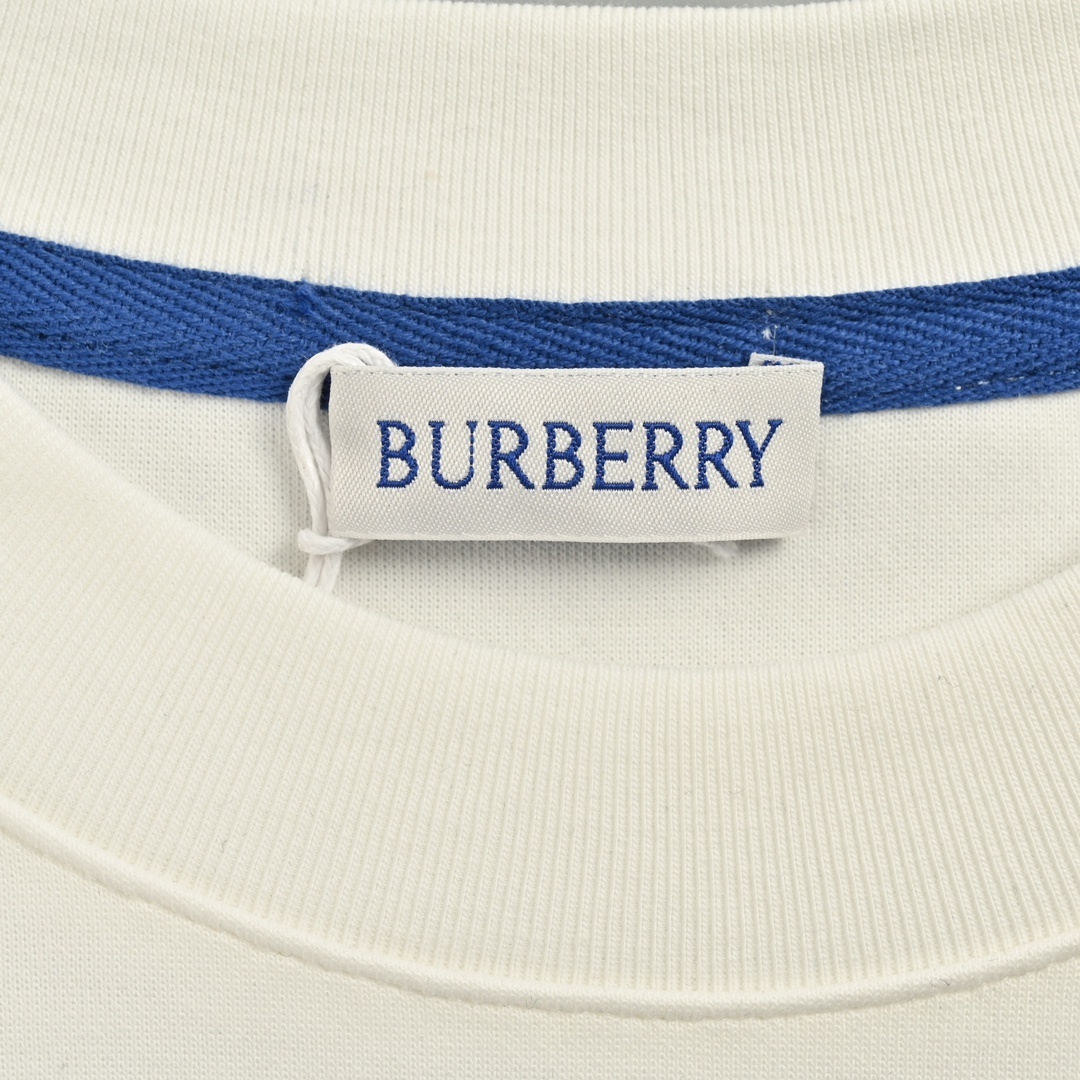 BB New Arrival hoodie 007