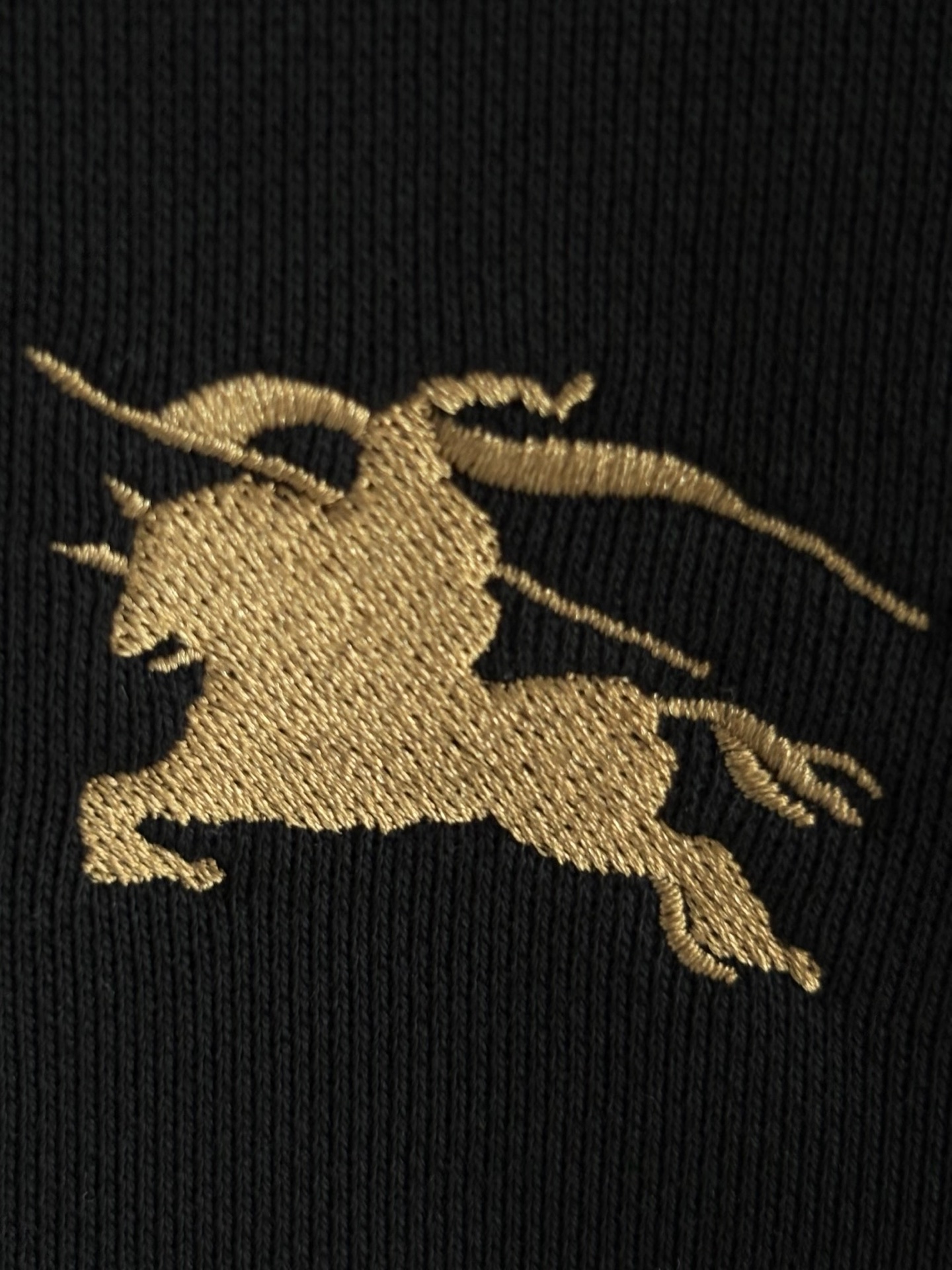 BB new arrival hoodie 021