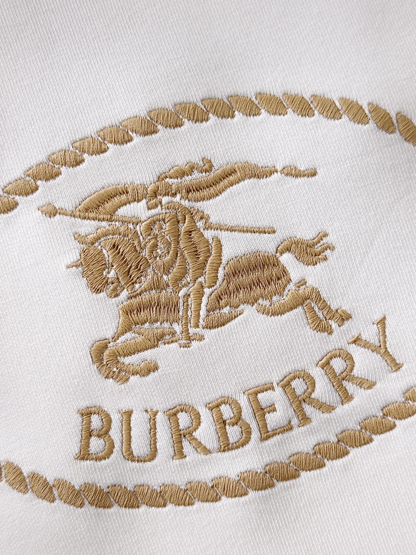 BB new arrival hoodie 026