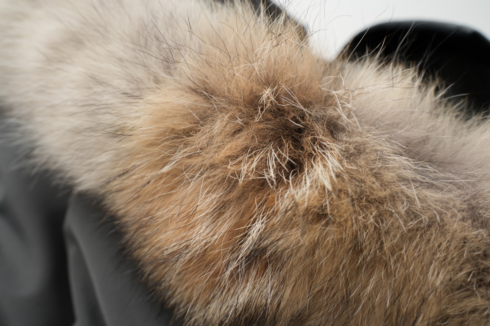 Ca new arrival winter coat 001