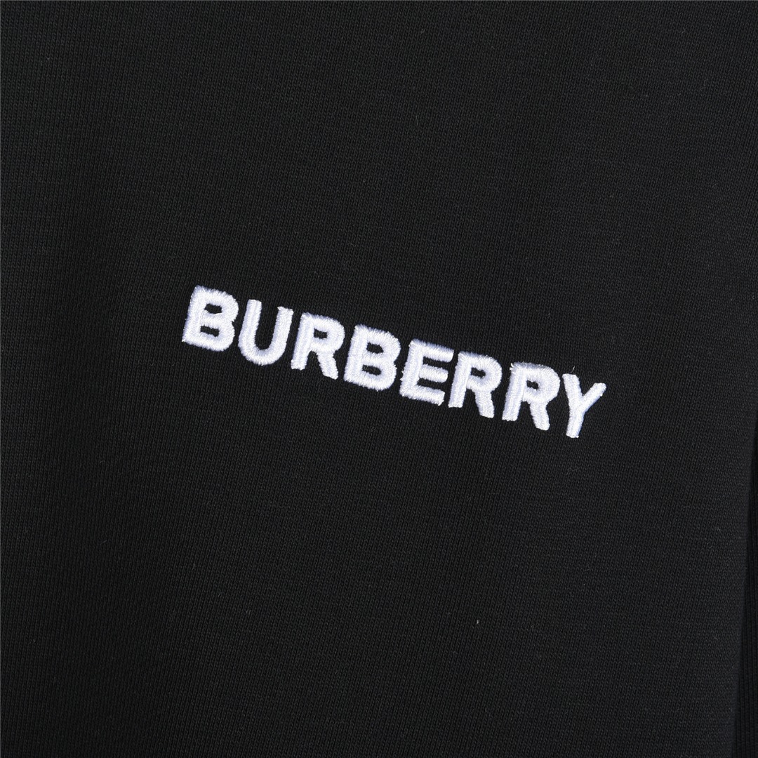 BB new arrival hoodie 029