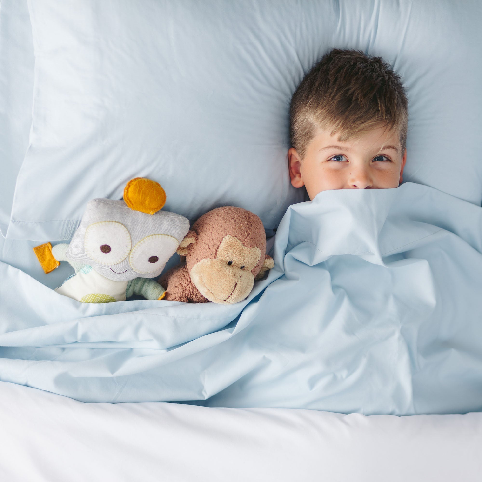 Solid Embroidered Sheets Set-Tolkye