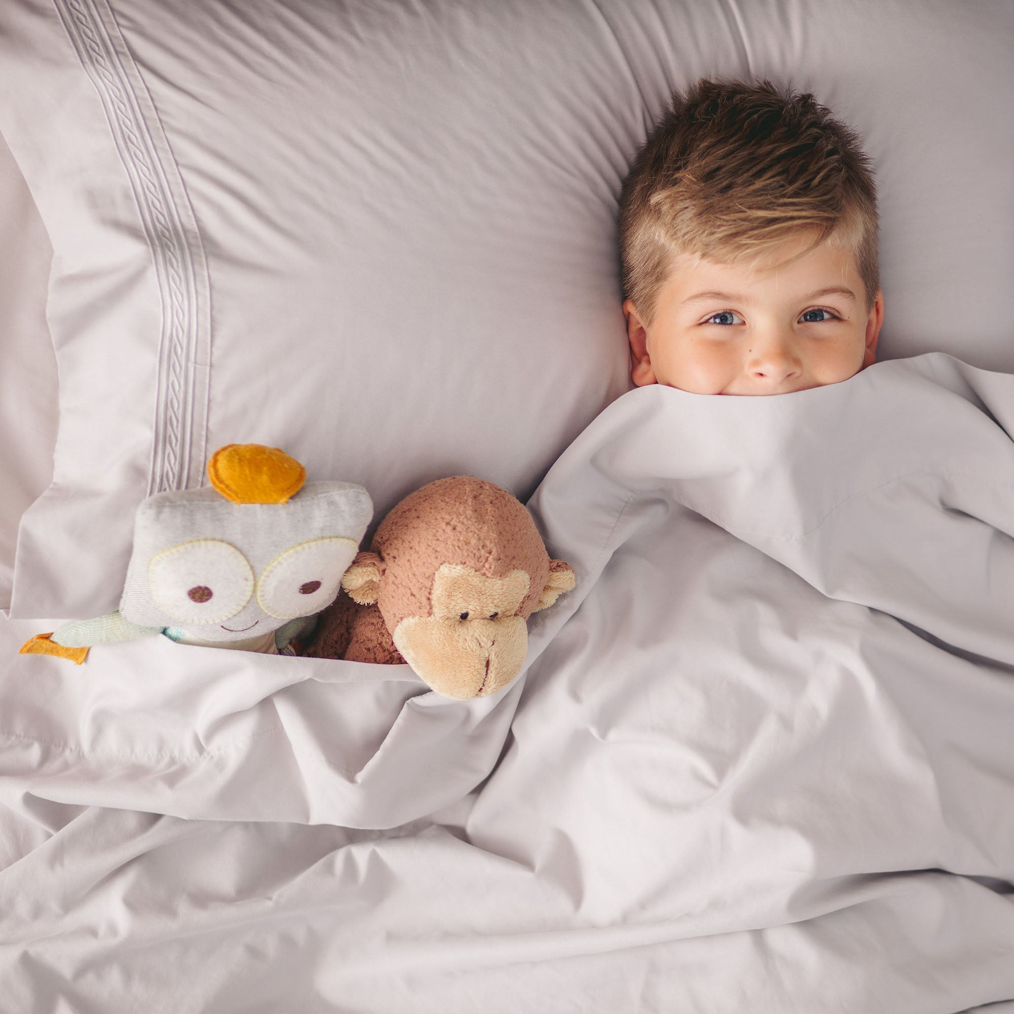 Solid Embroidered Sheets Set-Tolkye