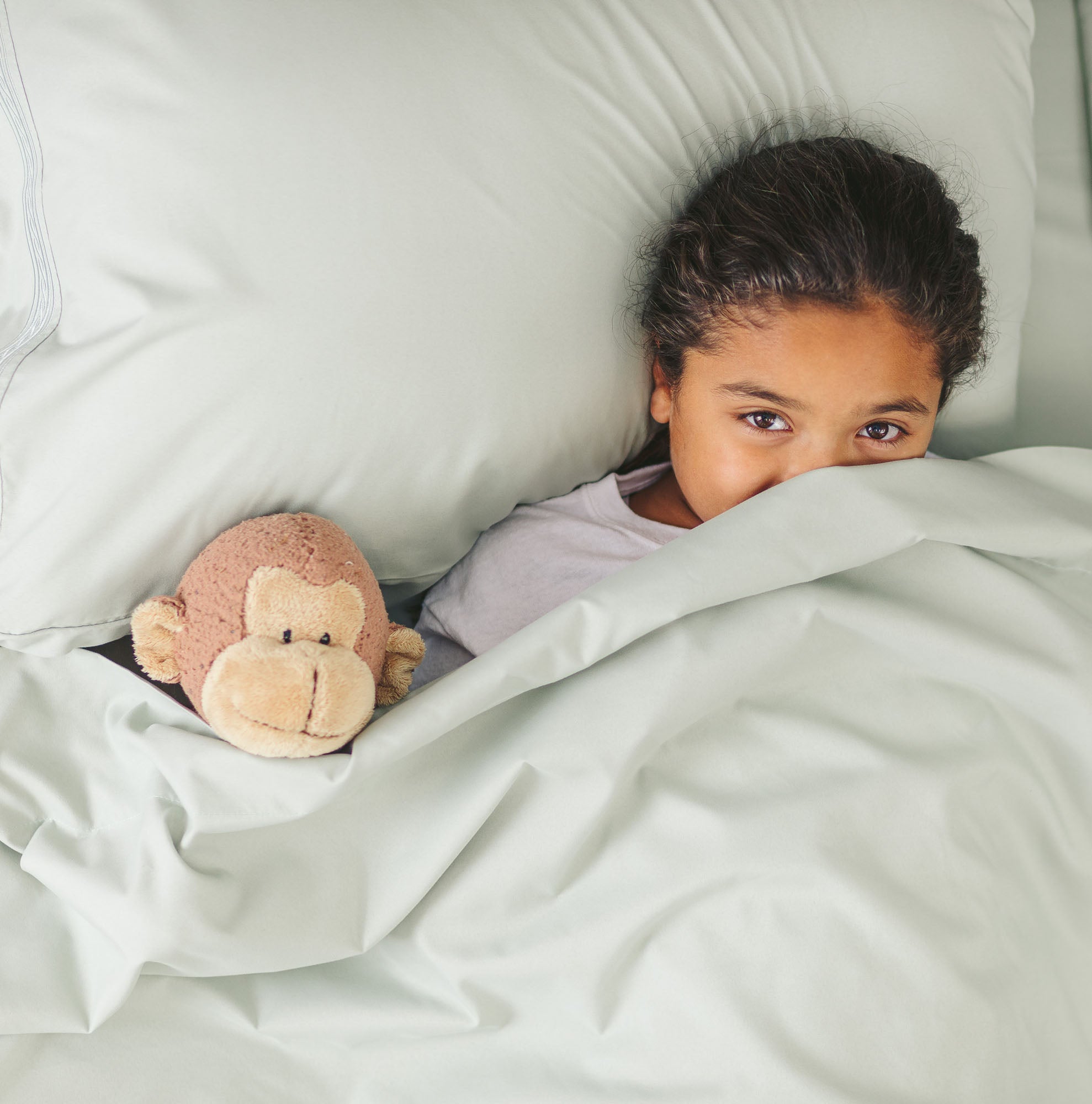 Solid Embroidered Sheets Set-Tolkye