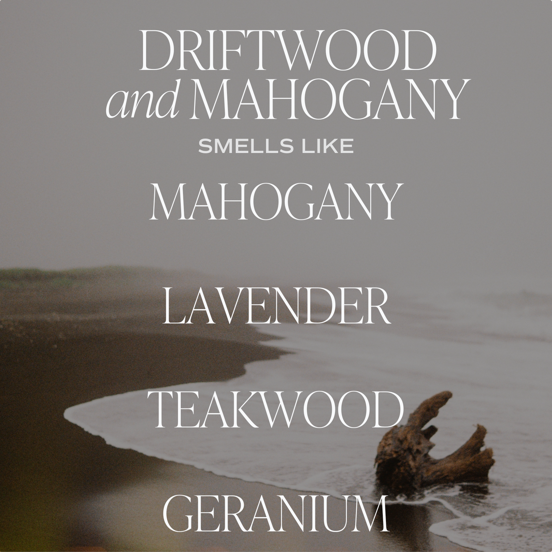 Driftwood and Mahogany Soy Candle, Amber Jar - 9oz