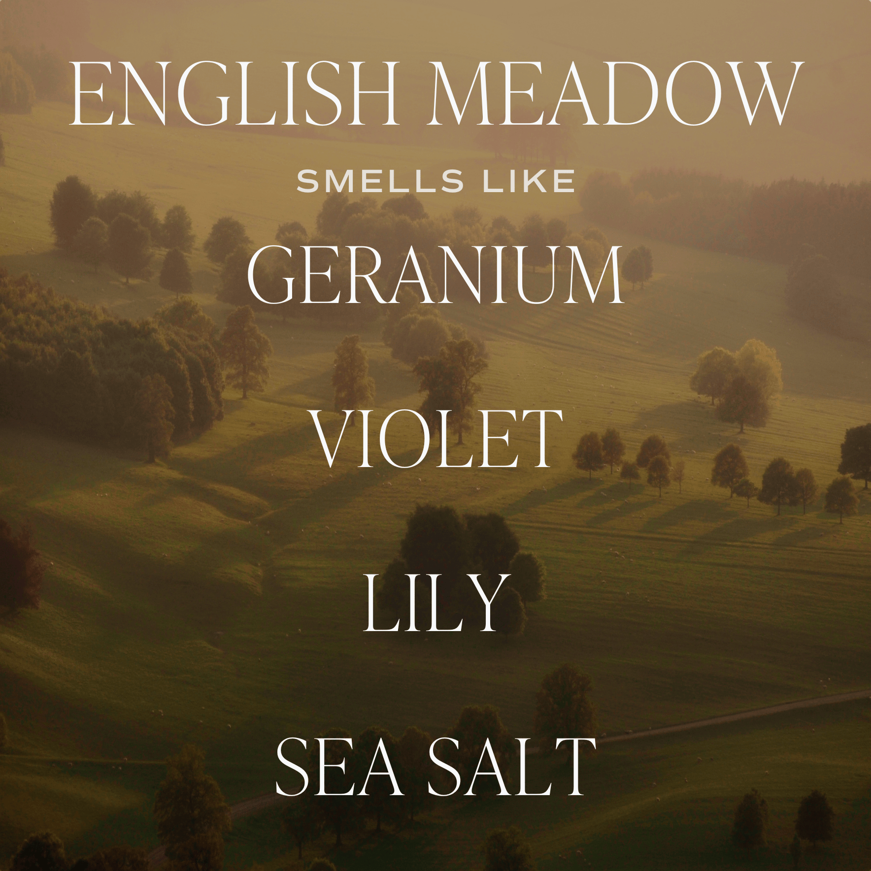 English Meadow Soy Candle - Green Matte Jar - 15 oz (Wildflowers and Salt)