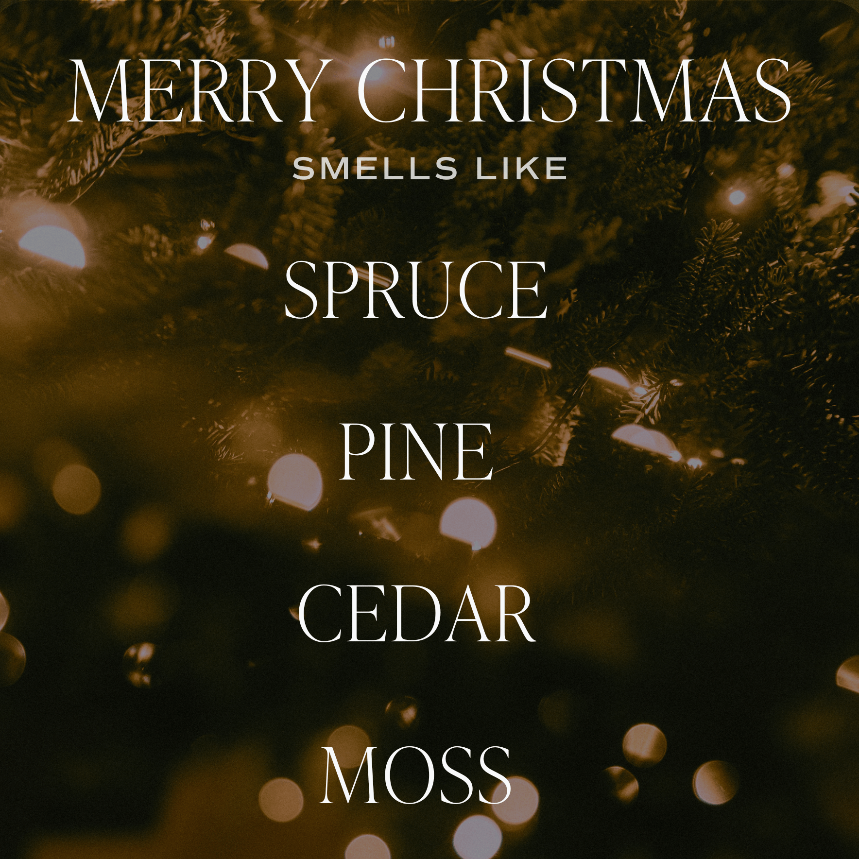 Merry Christmas Soy Candle | 9oz. Clear Jar