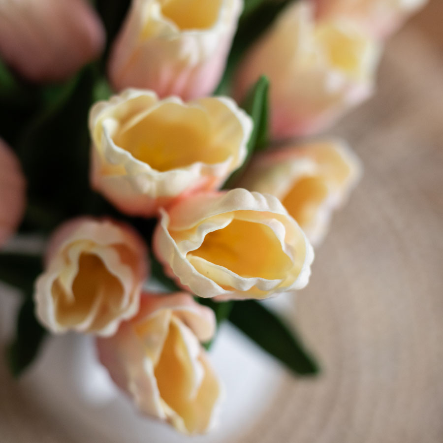 Celebrate Easter: The Celebration Collection by Steal it Box