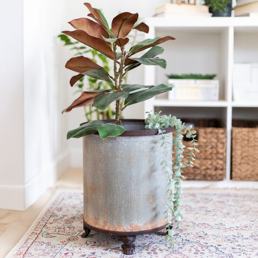 Endless Summer: The Seasonal Collection by Steal it Box