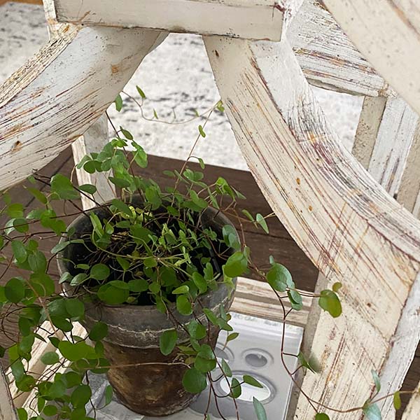 Handmade Wooden Open Framed Lanterns, Set of 2