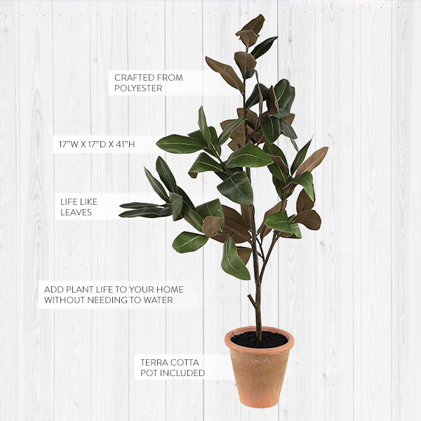 41" Tall Potted Faux Magnolia Sapling
